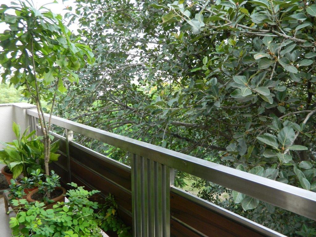 Deerpark Villa Nowe Delhi Zewnętrze zdjęcie